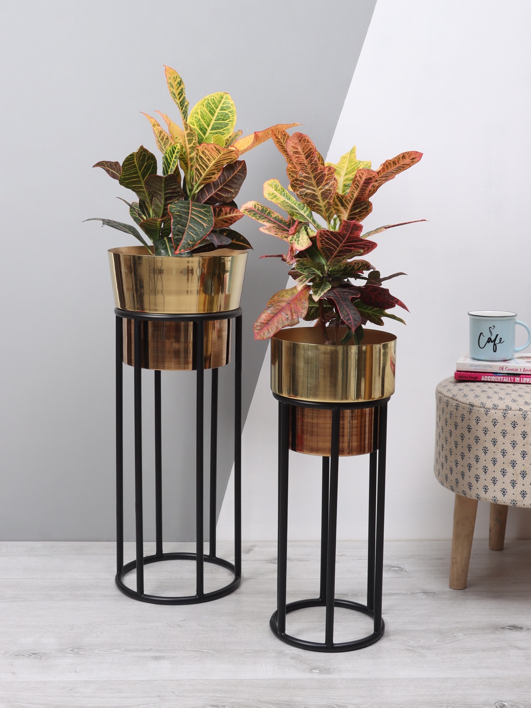 

Aapno Rajasthan Set of 2 Gold-Toned & Black Brass Planters With Stands