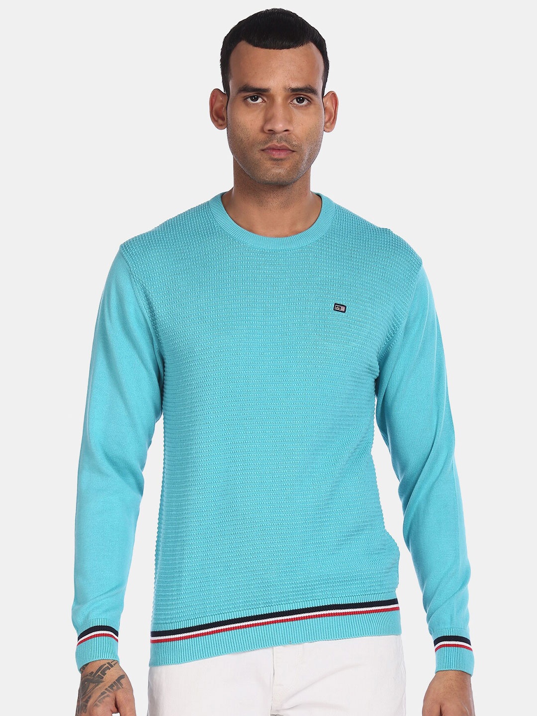 

Arrow Sport Men Blue Self Design Pullover Sweater