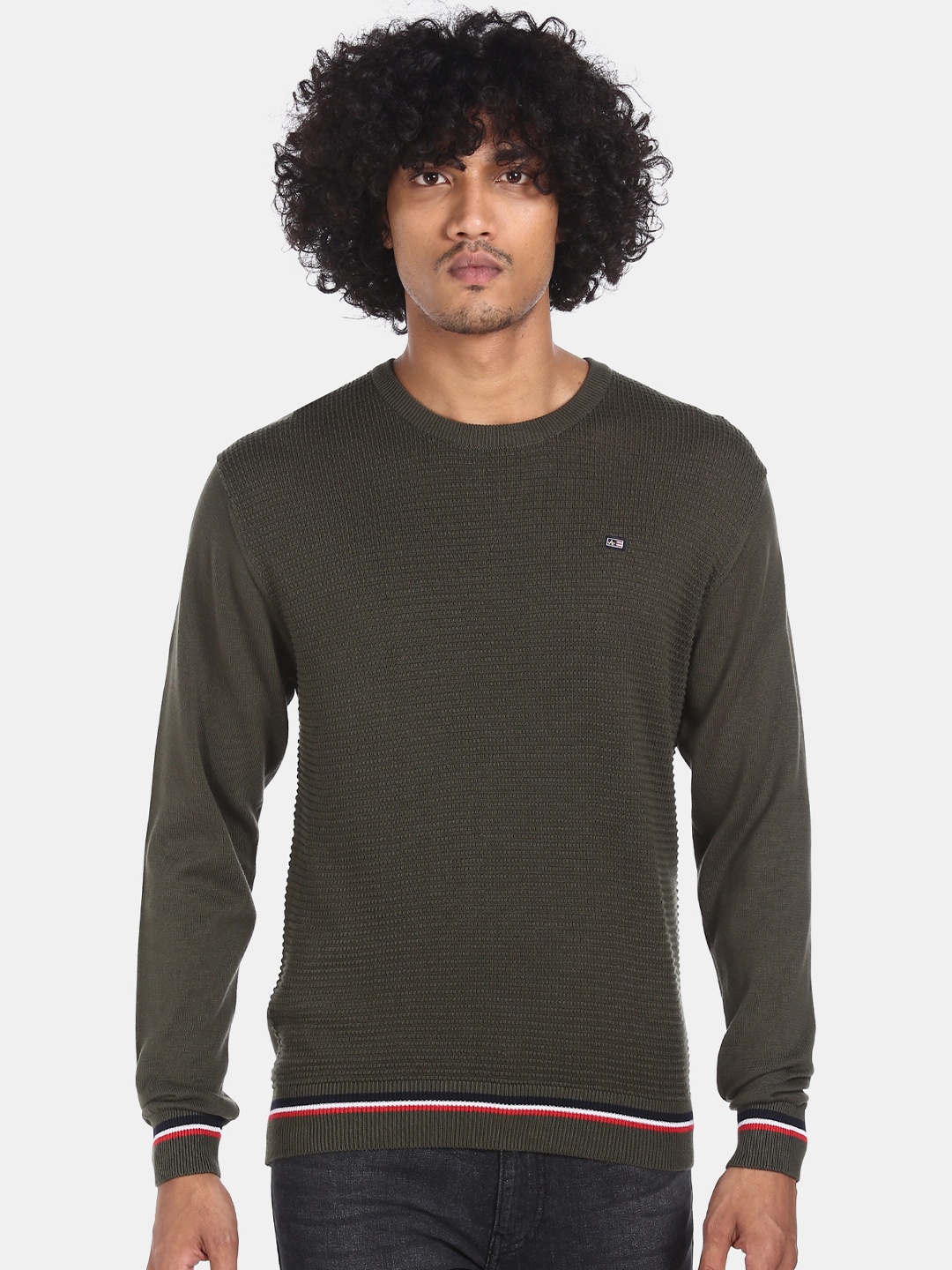 

Arrow Sport Men Olive Green Self Design Pullover Sweater