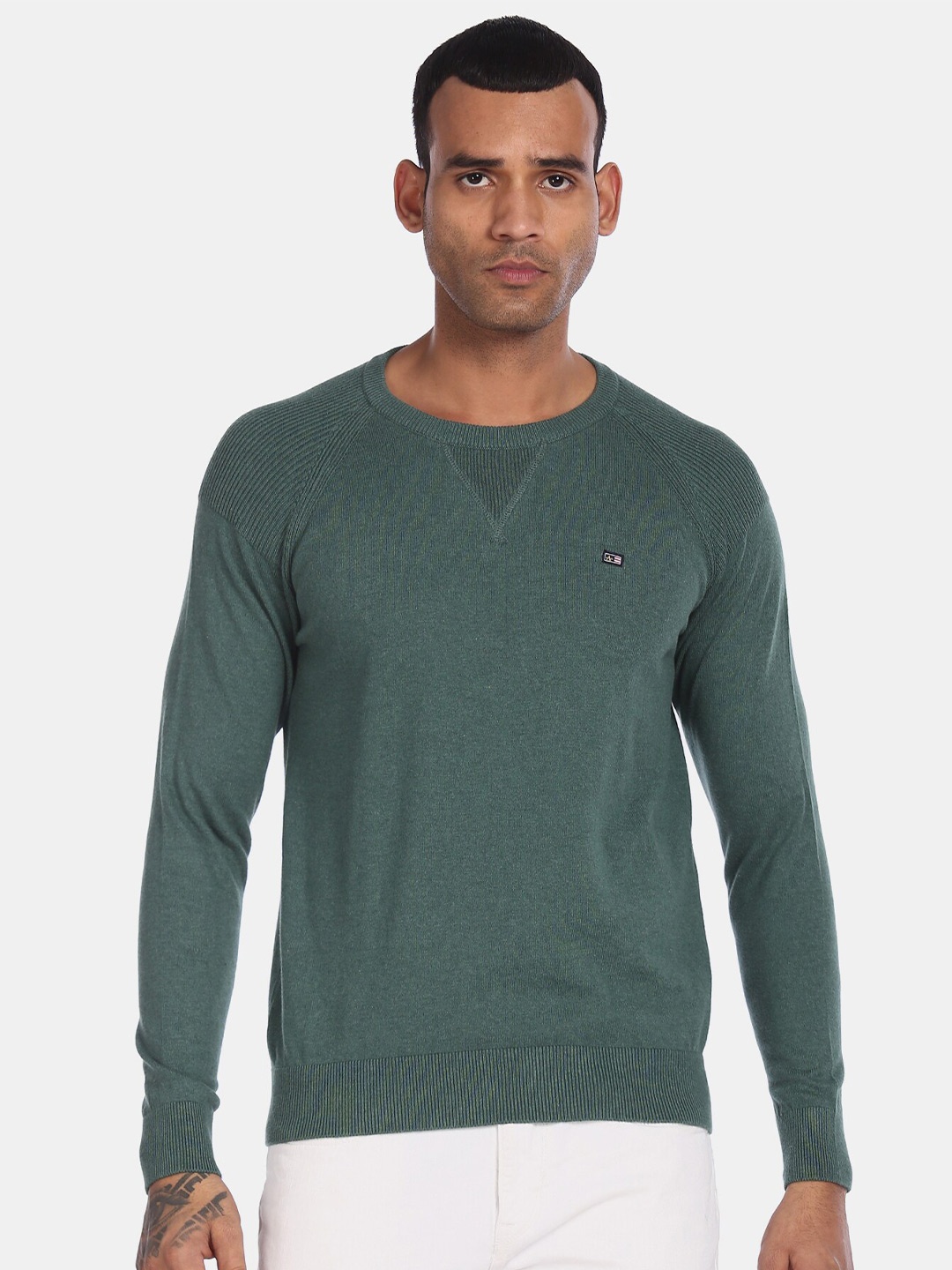 

Arrow Sport Men Green Solid Cotton Pullover Sweater