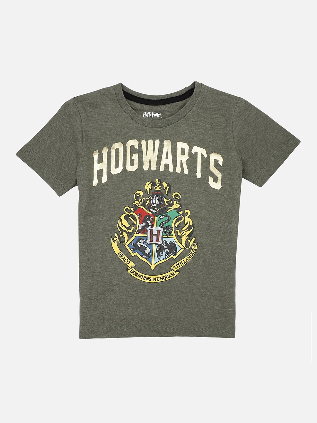 

Kids Ville Harry Potter Printed Tshirt For Kids Boys, Olive