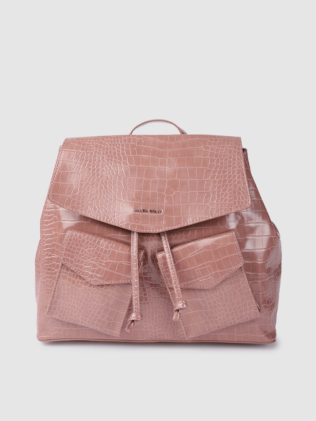 

Allen Solly Women Pink Textured Backpack