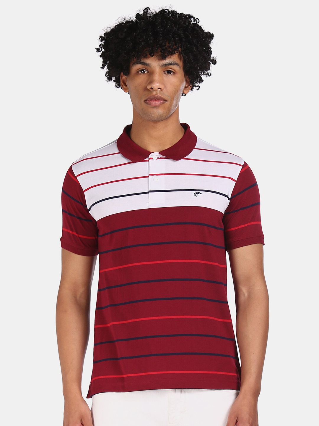 

Ruggers Men Maroon & Navy Blue Striped Polo Collar T-shirt