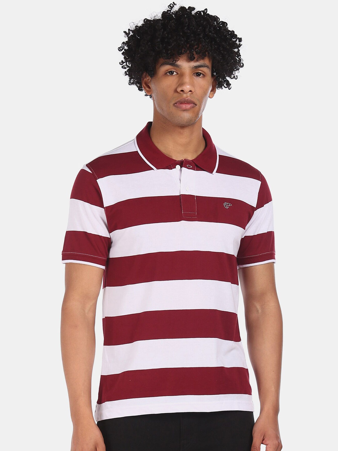 

Ruggers Men Maroon & White Striped Polo Collar T-shirt