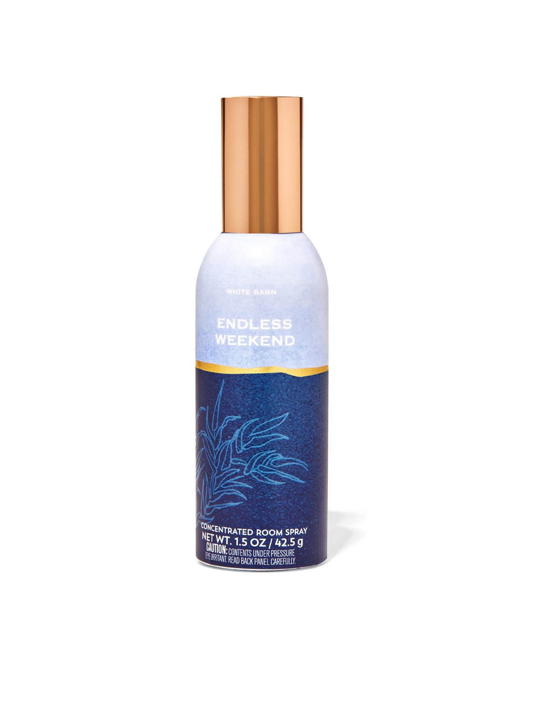 

Bath & Body Works Endless Weekend Concentrated Room Spray 42.5 g, Blue