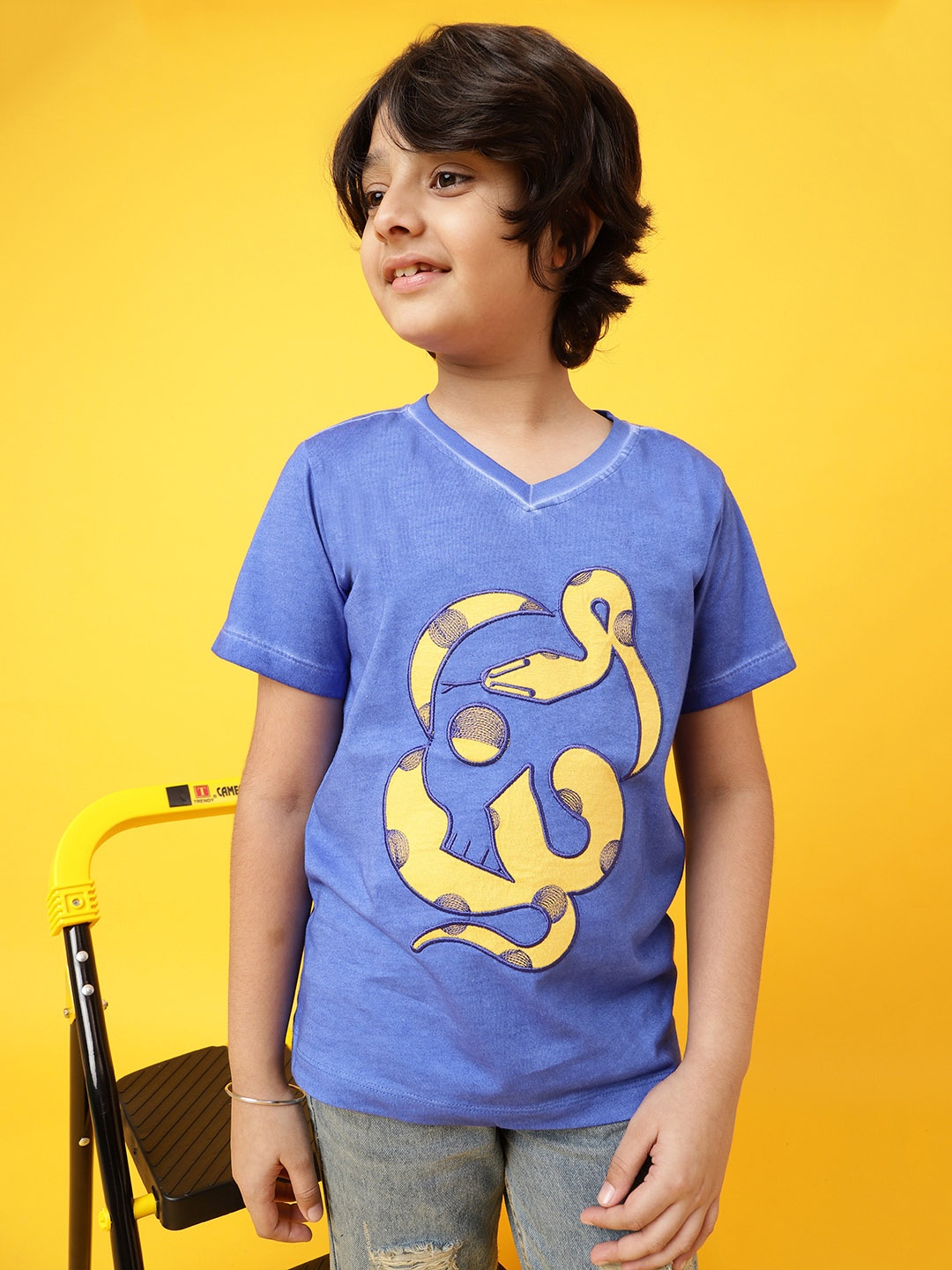 

TALES & STORIES Boys Blue Embroidered V-Neck T-shirt
