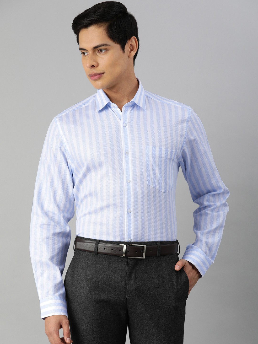 

Arrow Men Blue Striped Formal Shirt