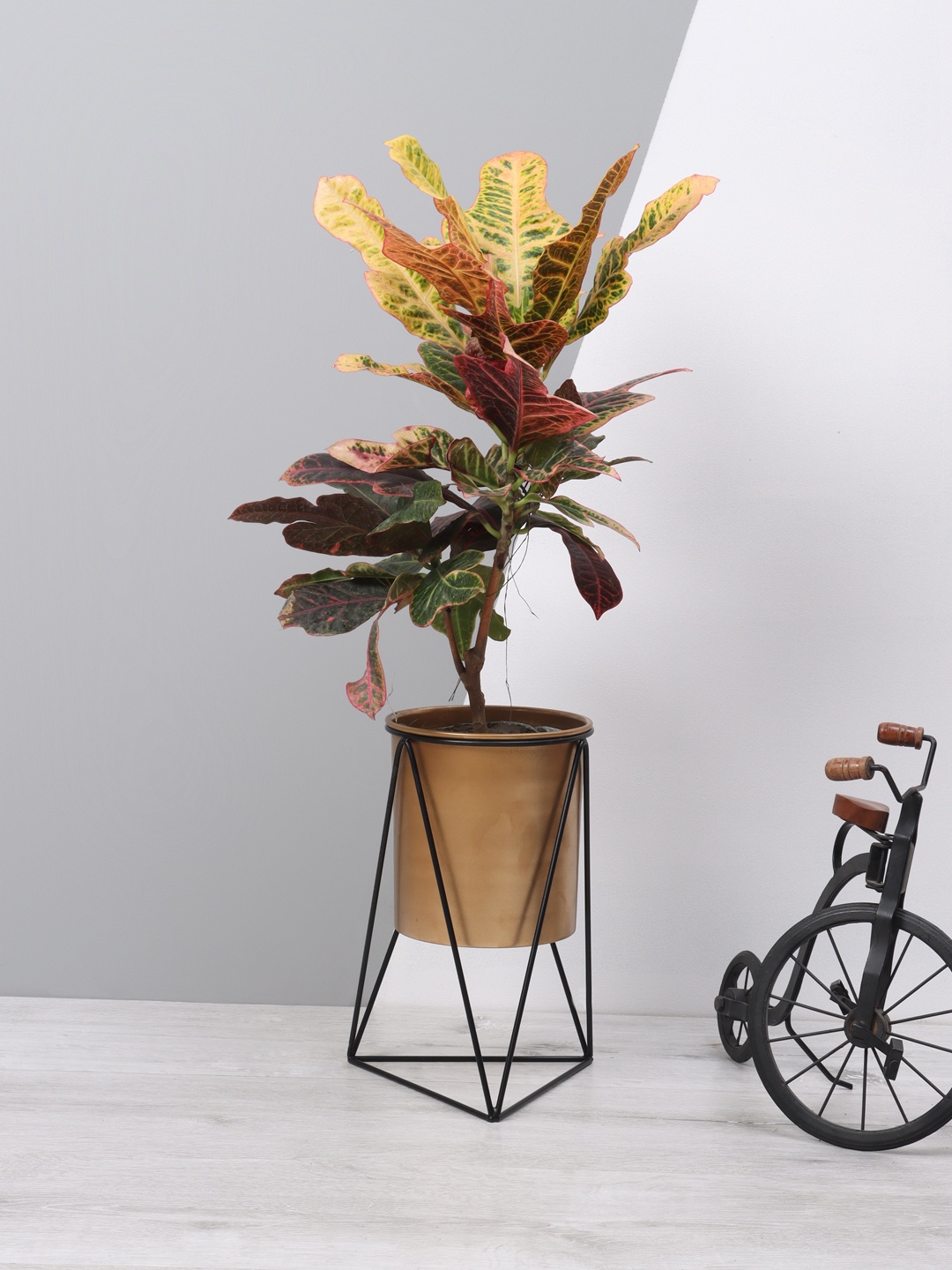 

Aapno Rajasthan Copper-Toned & Black Handcrafted Metal Planter With Triangular Stand