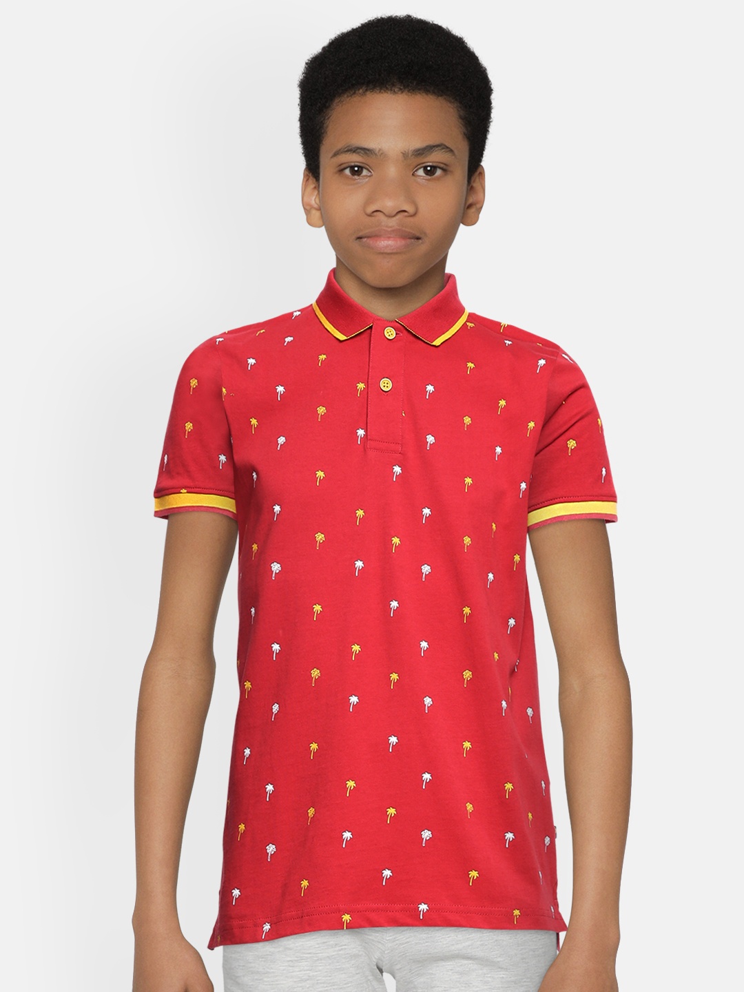 

Indian Terrain Boys Red Printed Pure Cotton Polo Collar Pure Cotton T-shirt