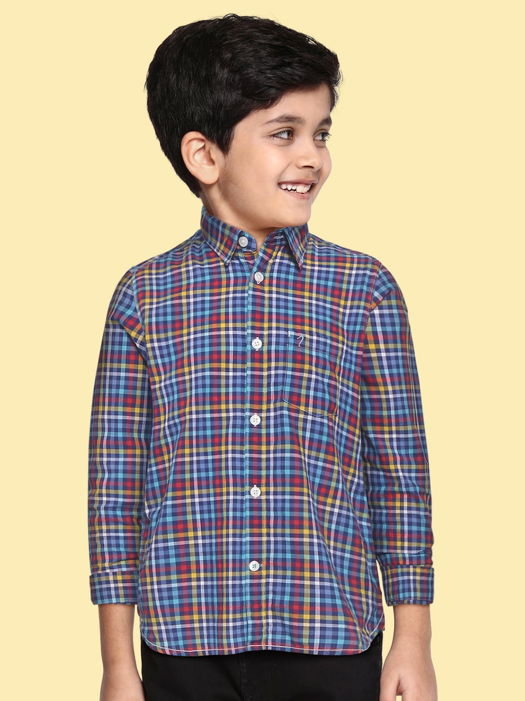

Indian Terrain Boys Blue & Red Pure Cotton Checked Casual Shirt