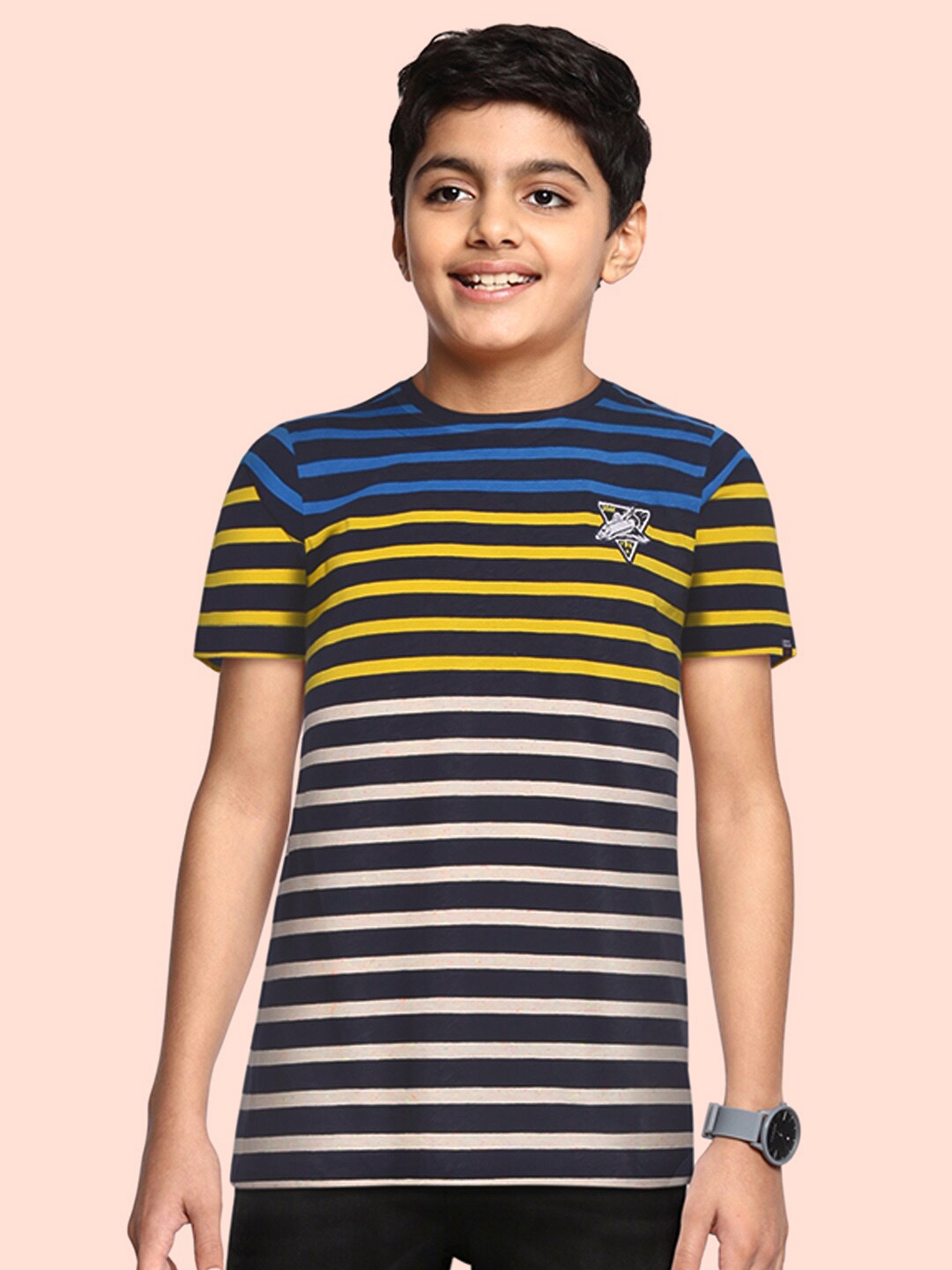 

Indian Terrain Boys Navy Blue & White Striped T-shirt