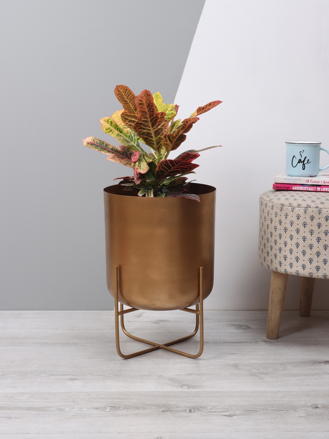 

Aapno Rajasthan Gold-Toned Solid Planter With Stand