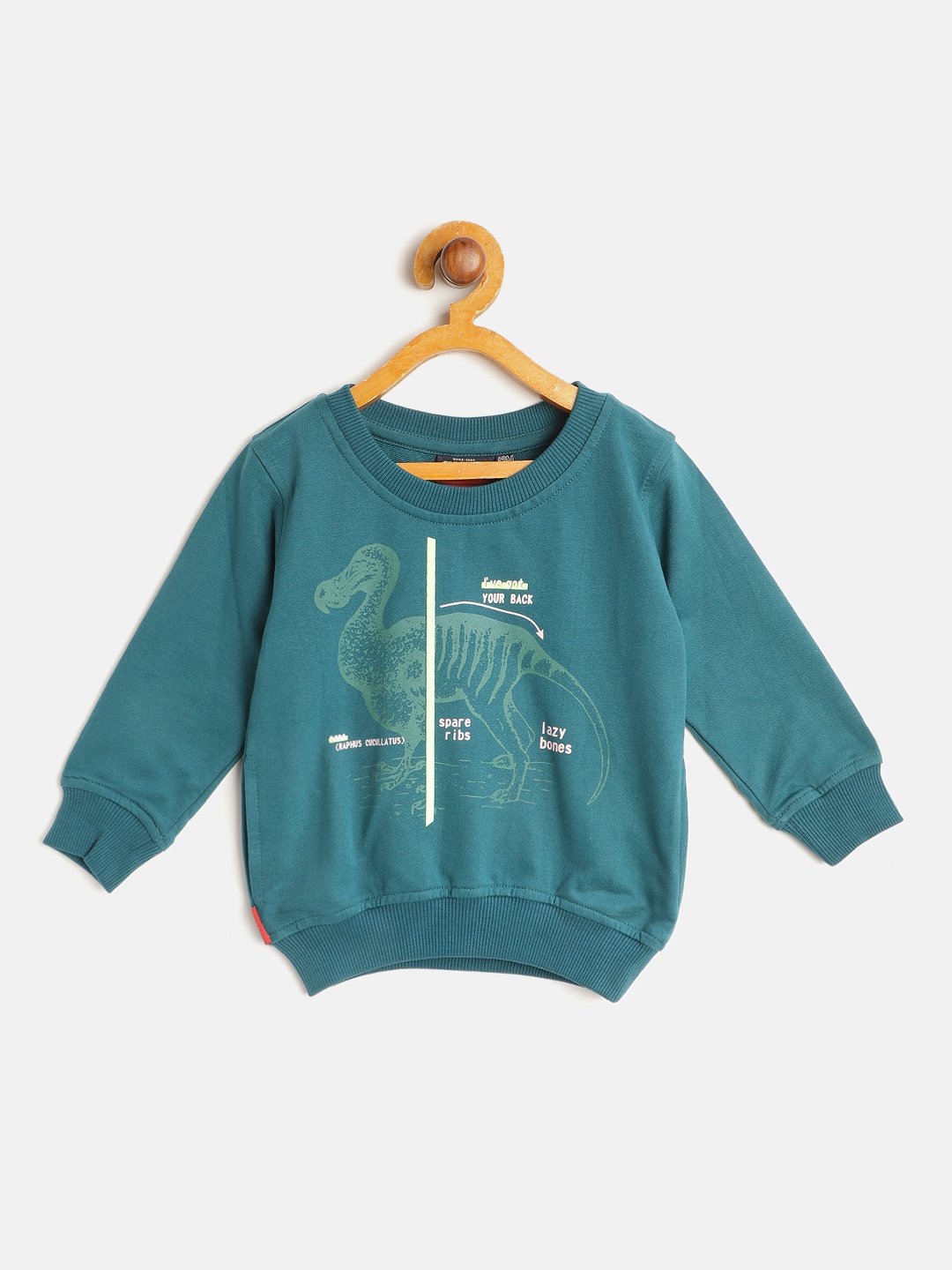 

Gini and Jony Boys Teal Green Pure Cotton Printed Sweatshirt