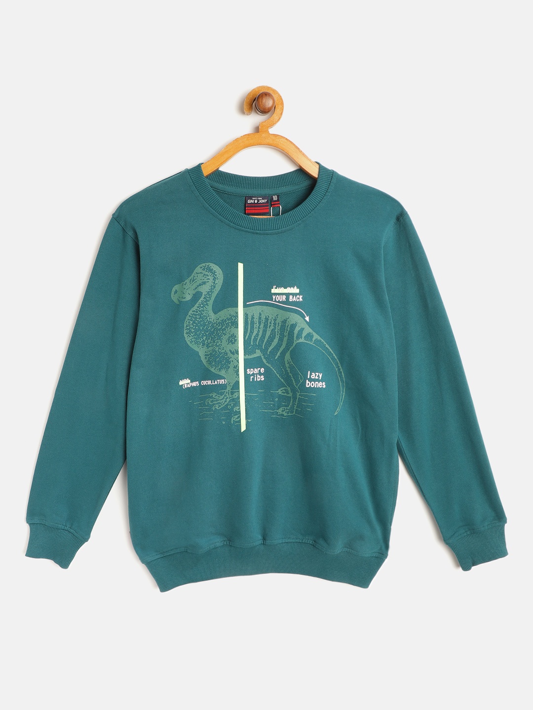 

Gini and Jony Boys Teal Green Pure Cotton Printed Sweatshirt