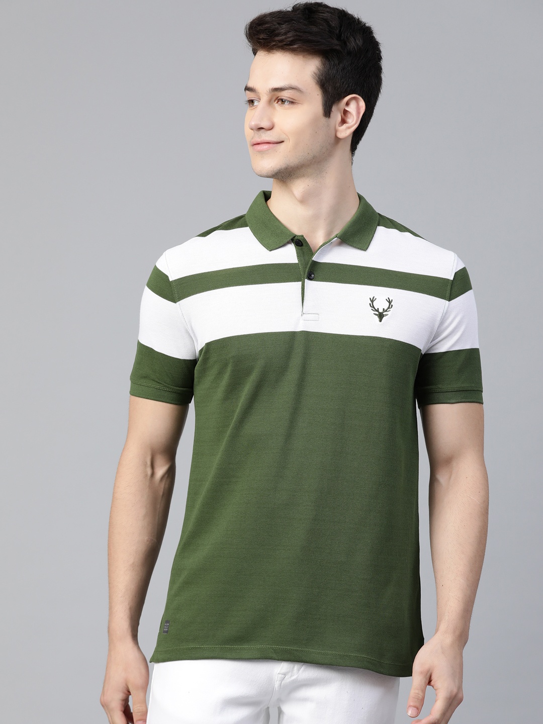 

Allen Solly Sport Men Olive & White Striped Polo Collar T-shirt
