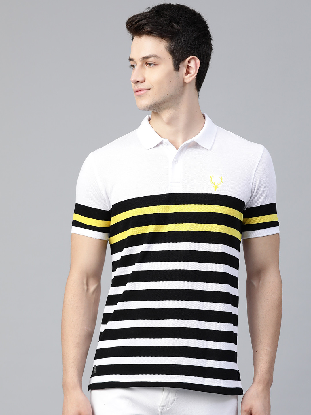 

Allen Solly Sport Men White & Black Striped Polo Collar T-shirt