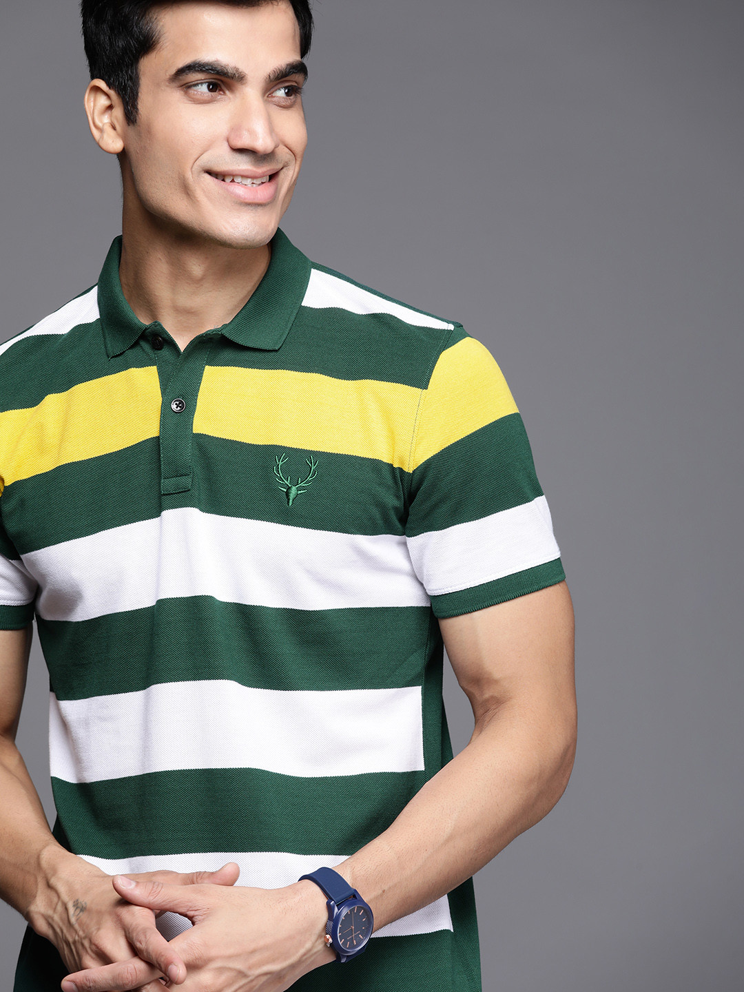 

Allen Solly Sport Men Green & White Striped Polo Collar T-shirt