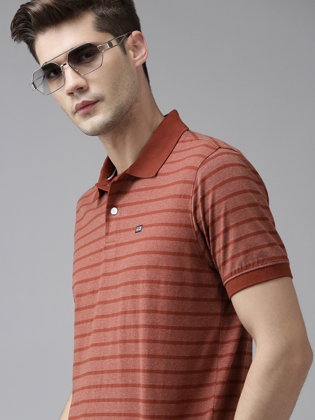 

Arrow Men Rust Brown Striped Polo Collar T-shirt
