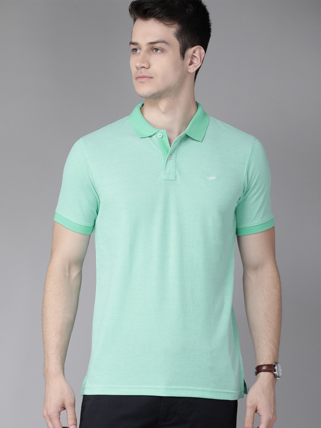 

Park Avenue Men Green Solid Polo Collar Slim Fit T-shirt