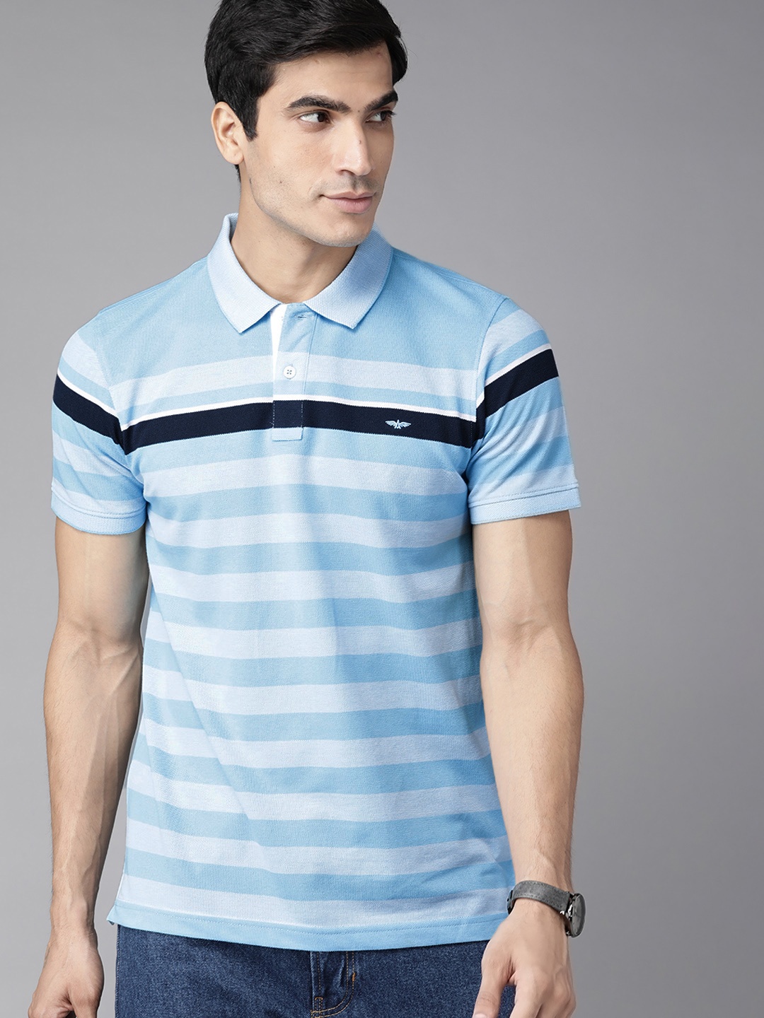 

Park Avenue Men Blue Striped Polo Collar Slim Fit T-shirt
