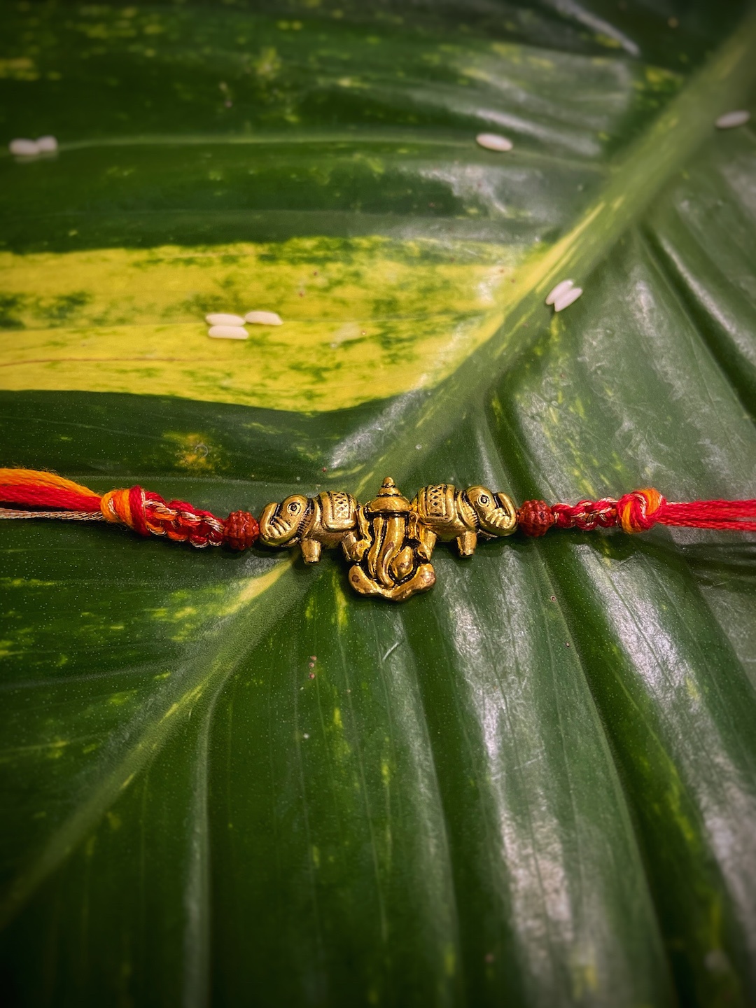 

Digital Dress Room Red Ganesh Ji Pendant with Rudhraksha Rakhi