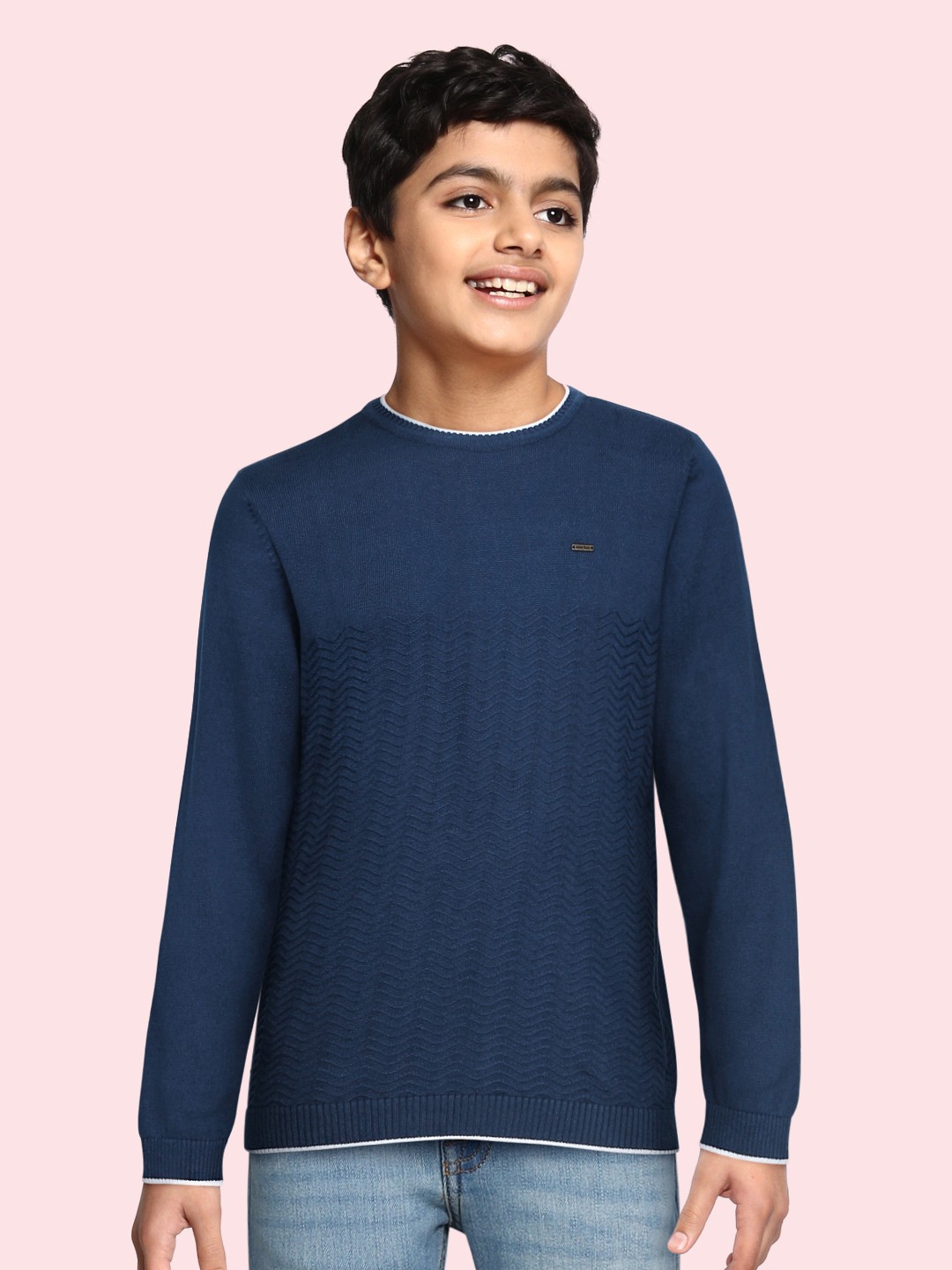 

Allen Solly Junior Boys Navy Blue Pure Cotton Chevron Patterned Pullover