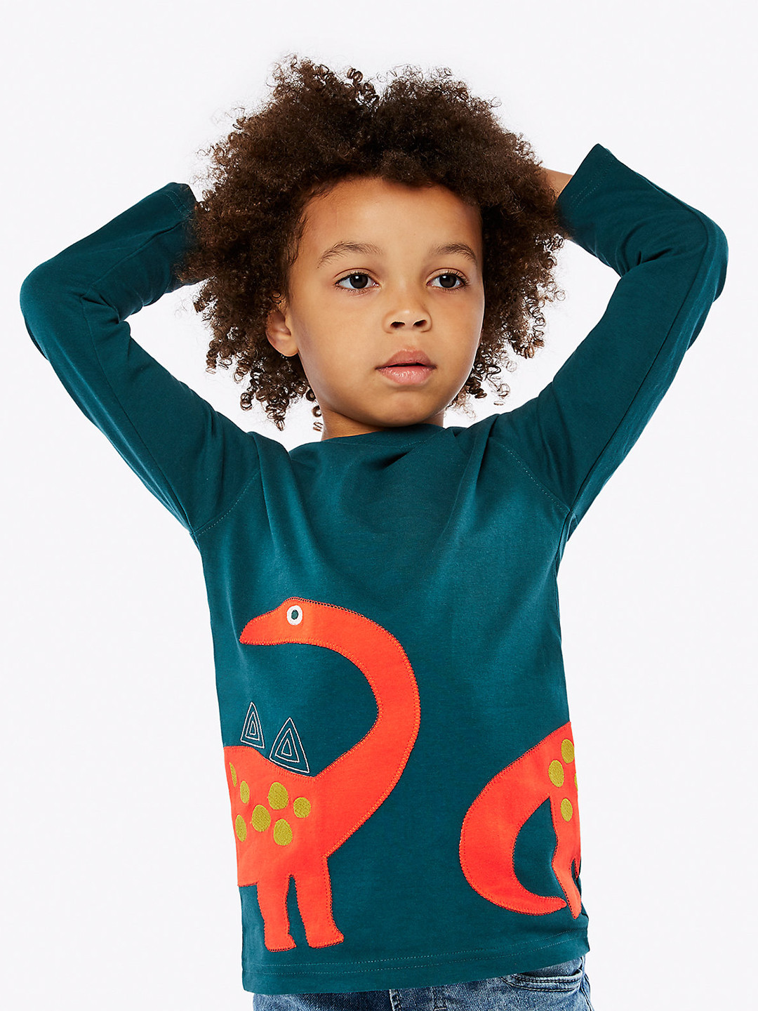 

mothercare Boys Teal Blue Dinosaur Printed Pure Cotton T-shirt