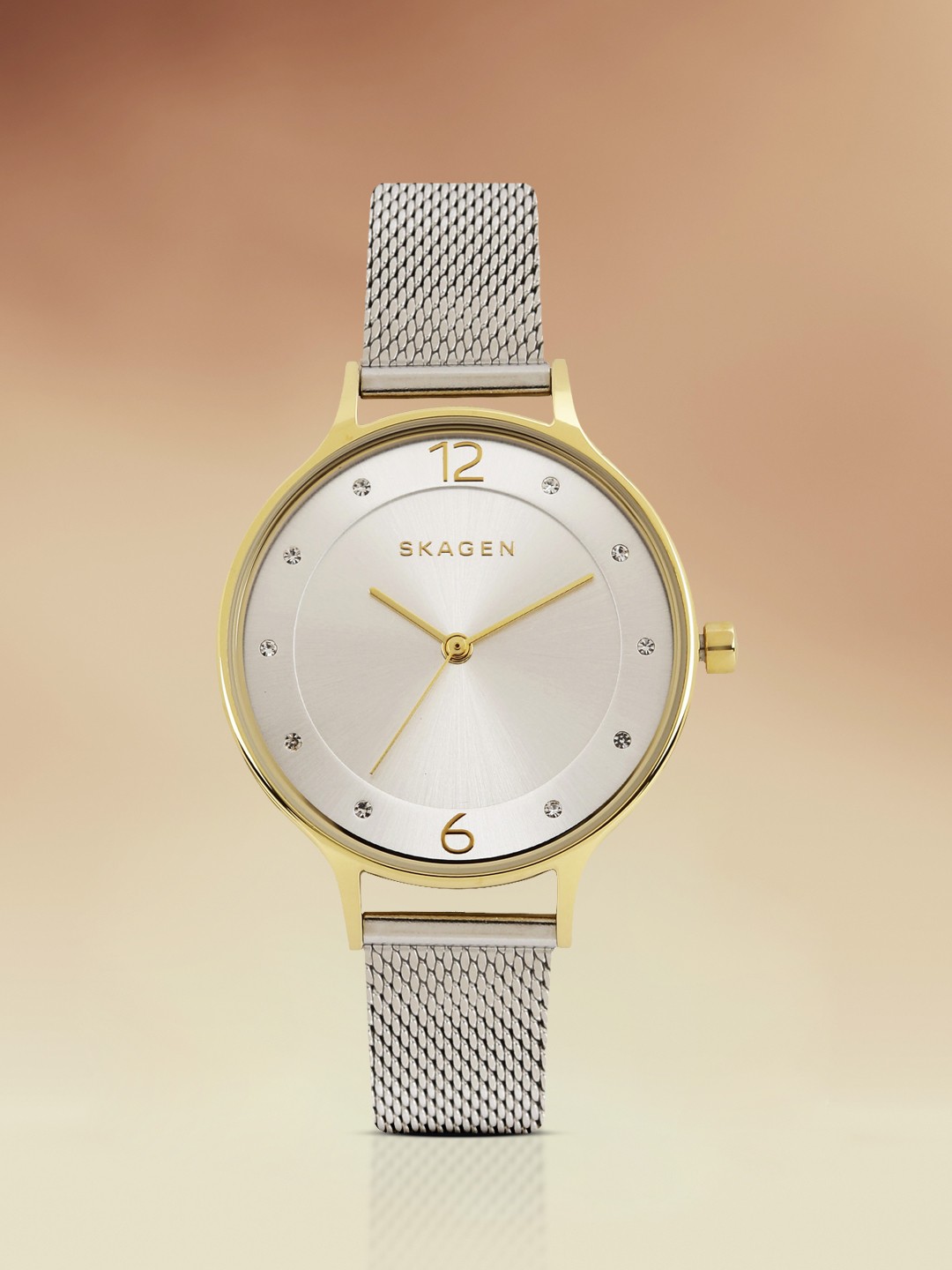 

SKAGEN Anita Women Silver Analogue Watch SKW2340
