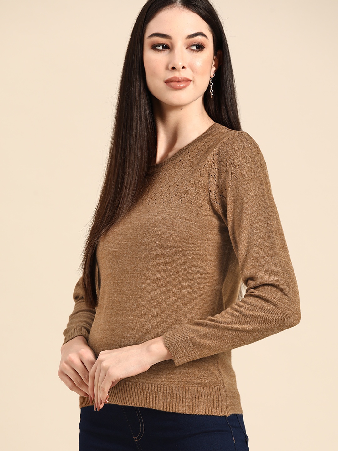 

Anouk Women Brown Solid Acrylic Winter Sweater with Self-Design Detail