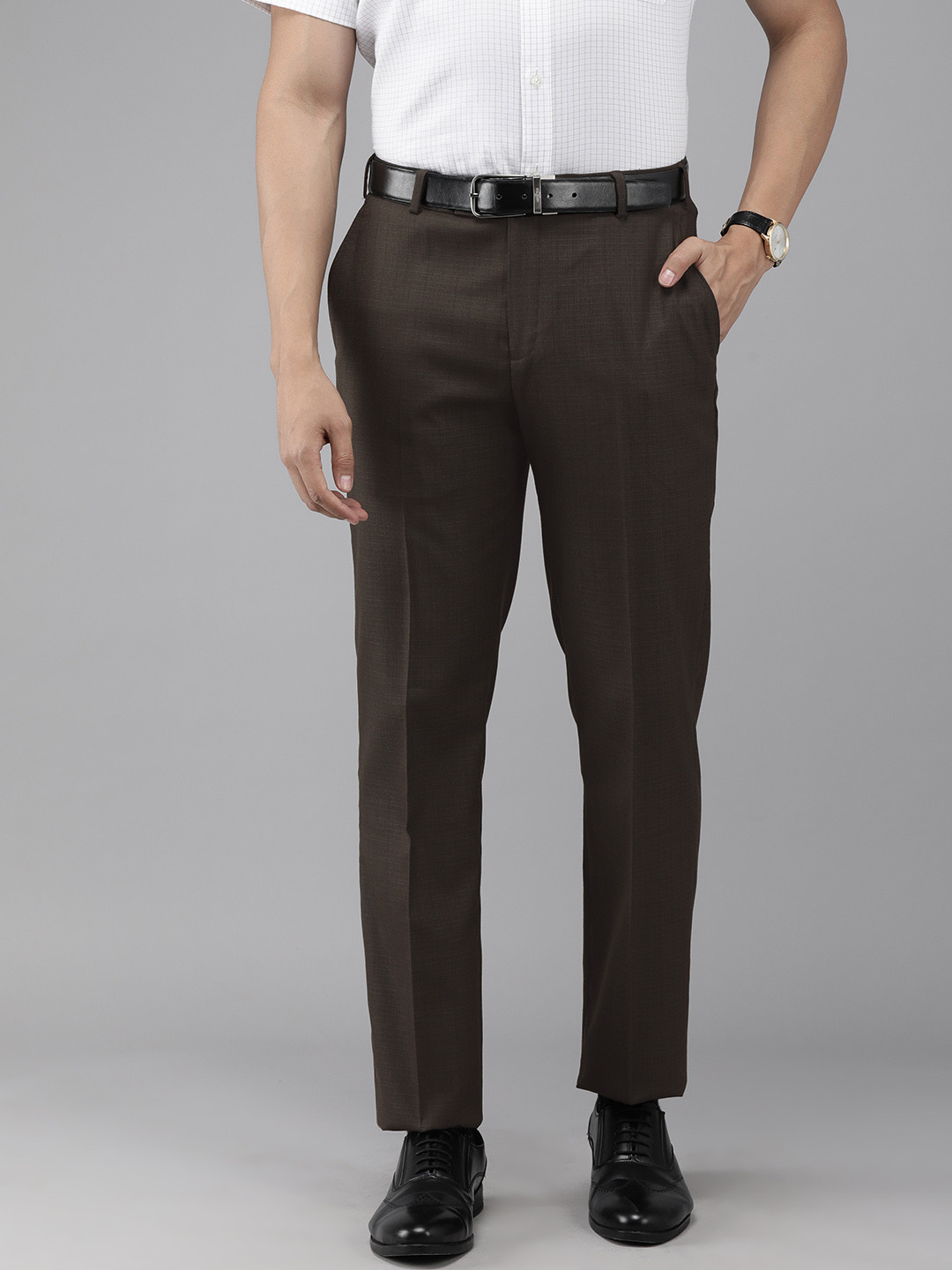 

Park Avenue Men Brown Textured Smart Fit Formal Trousers