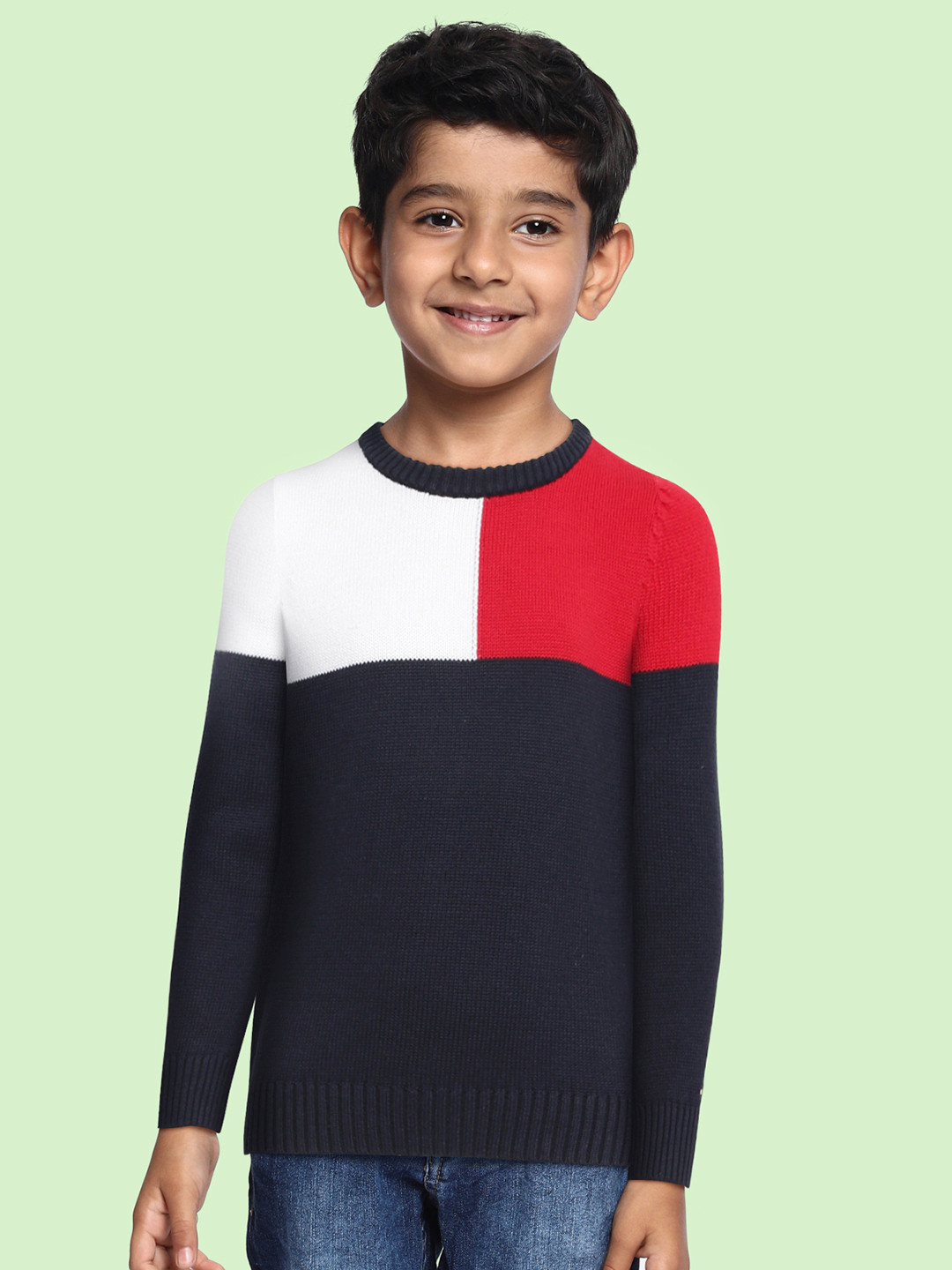 

Tommy Hilfiger Boys Navy Blue & Red Colourblocked Pure Cotton Pullover