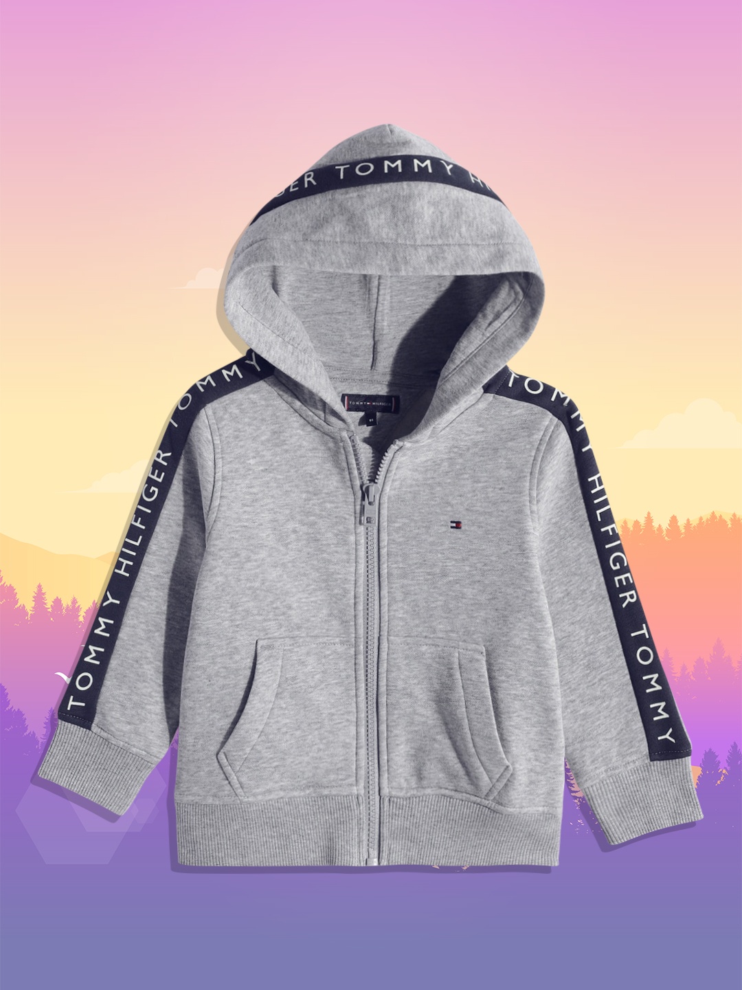 

Tommy Hilfiger Boys Grey Hooded Sweatshirt