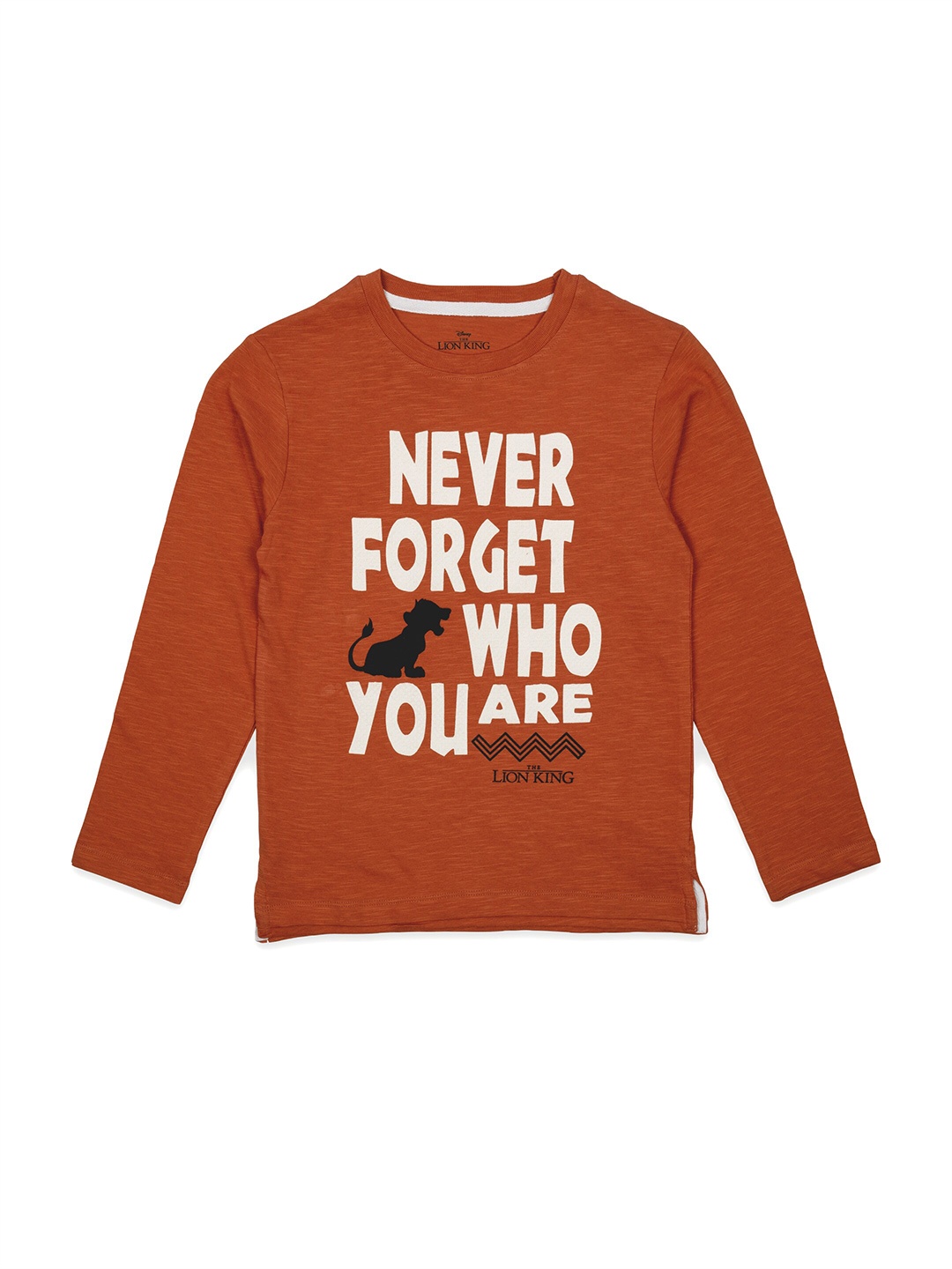 

Disney Boys Rust Typography Printed Pure Cotton T-shirt