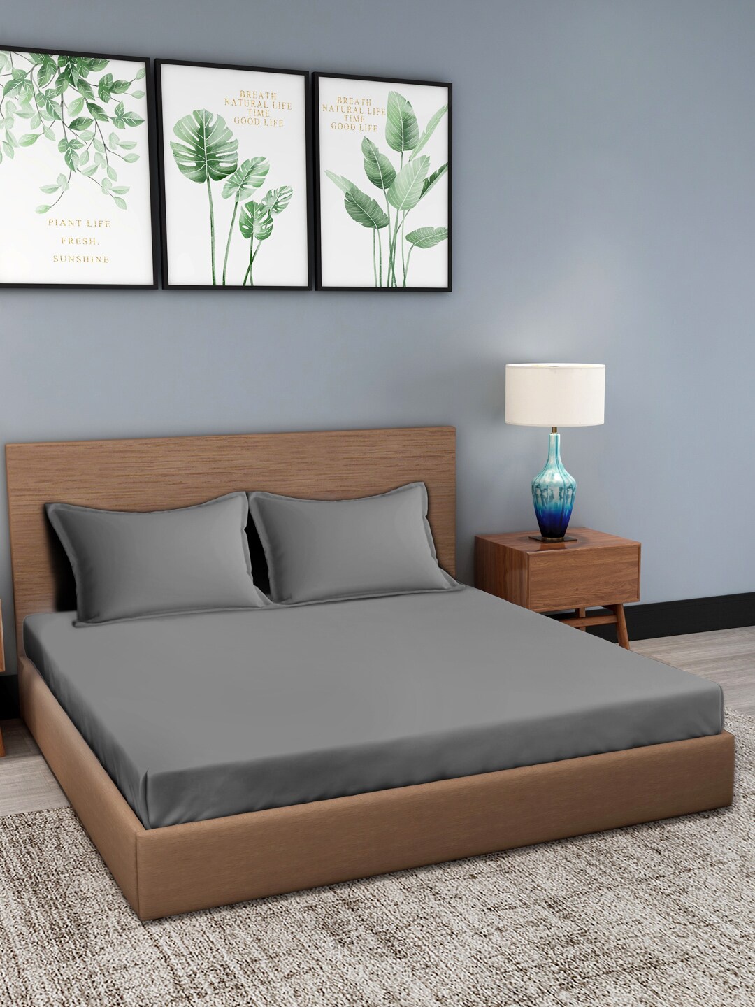 

Trident Grey 300 TC King Bedsheet with 2 Pillow Covers
