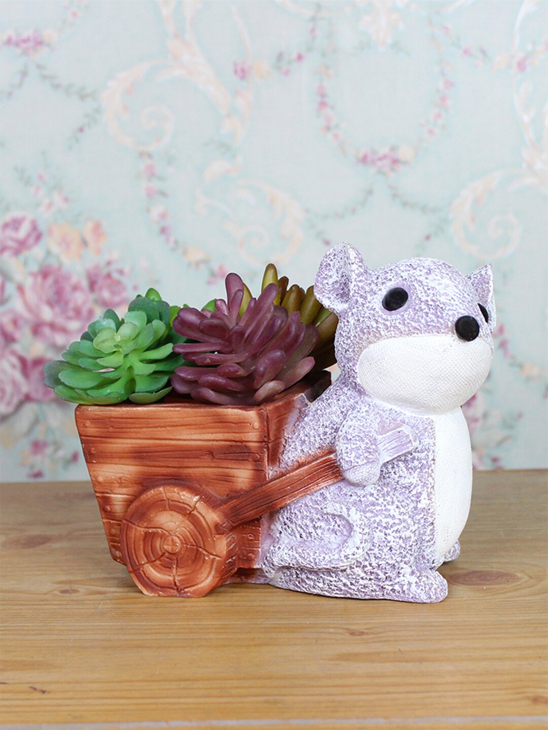 

Wonderland Grey & Brown Mouse Succulent