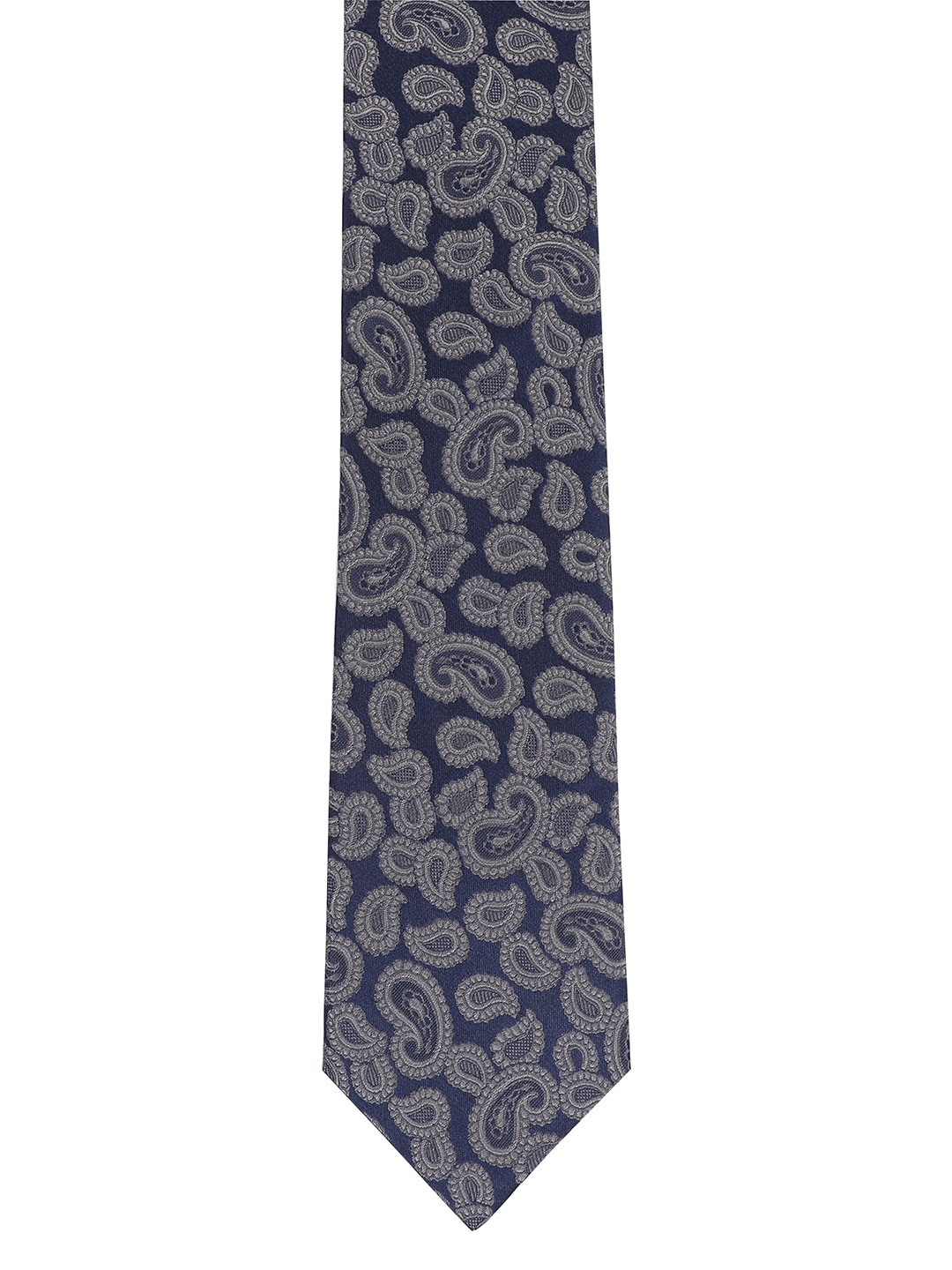 

Alvaro Castagnino Men Grey & Blue Printed Broad Tie