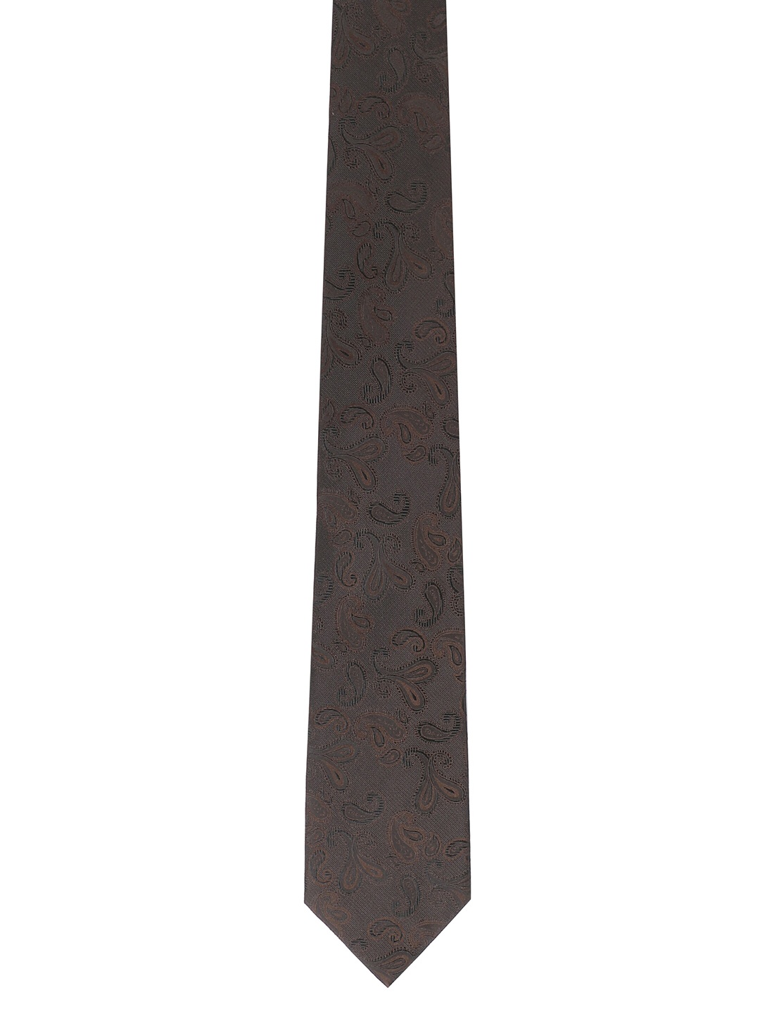 

Alvaro Castagnino Men Brown Woven Design Broad Tie