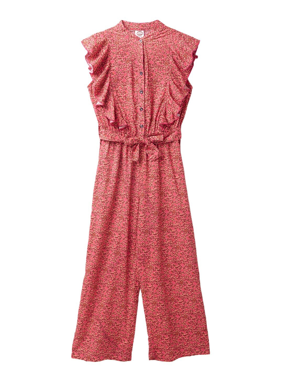 

Cub McPaws Girls Red Printed Basic Jumpsuit