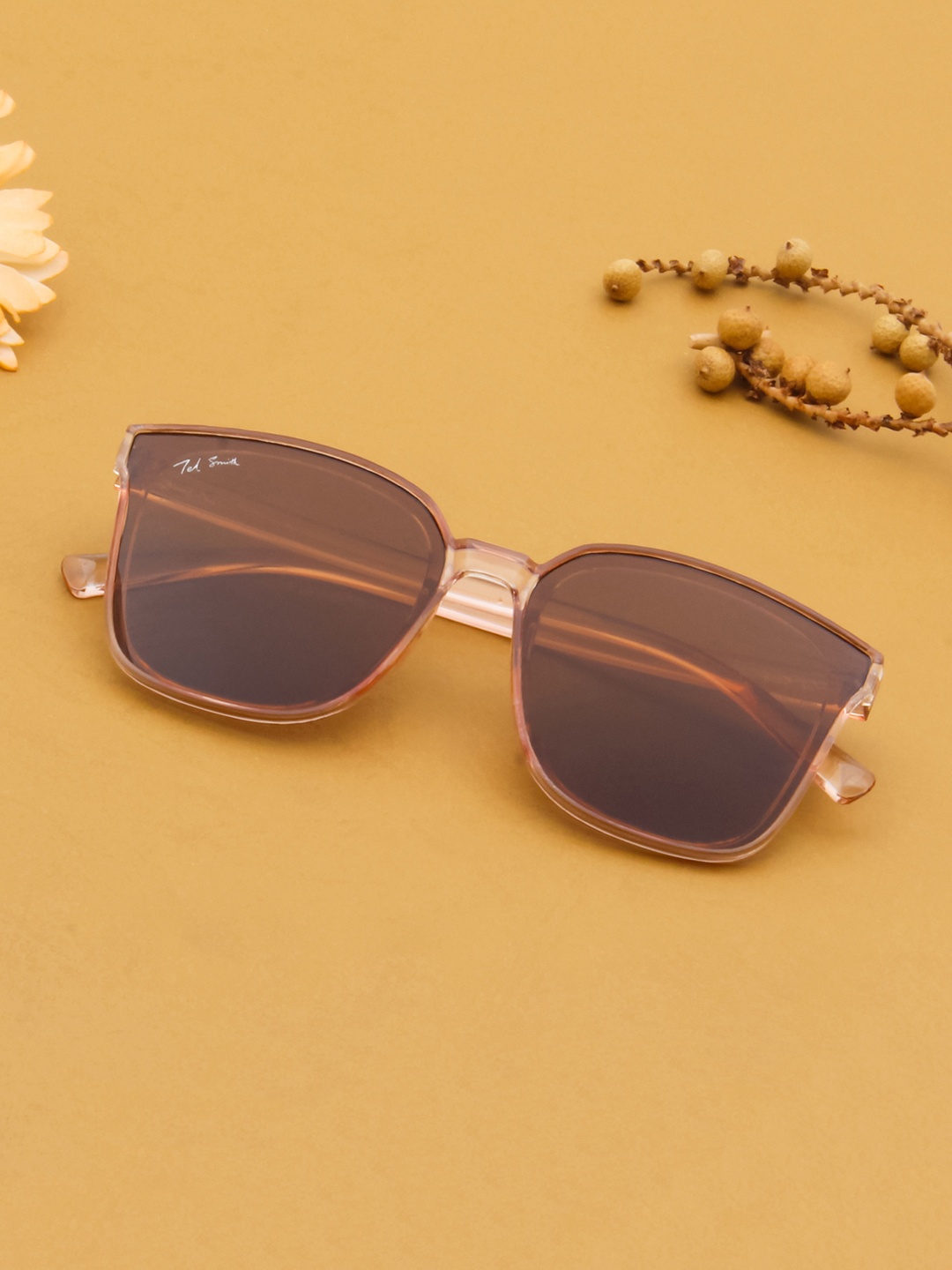 

Ted Smith Women Brown Wayfarer Sunglasses with UV Protected Lens