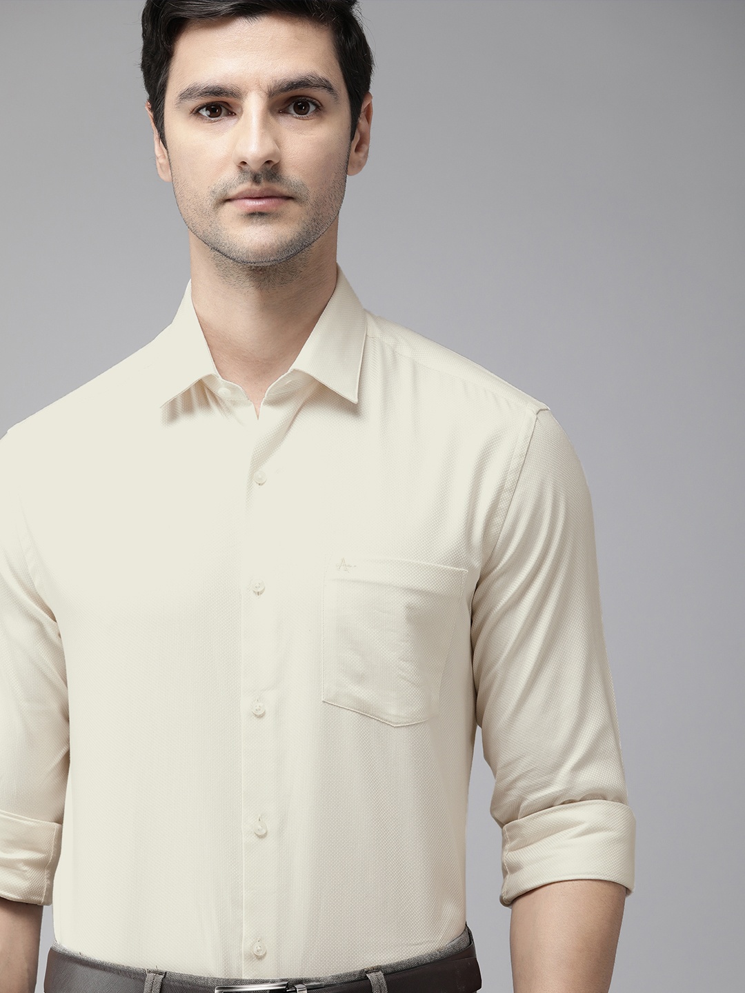 

Arrow Men Off-White Slim Fit Opaque Pure Cotton Formal Shirt