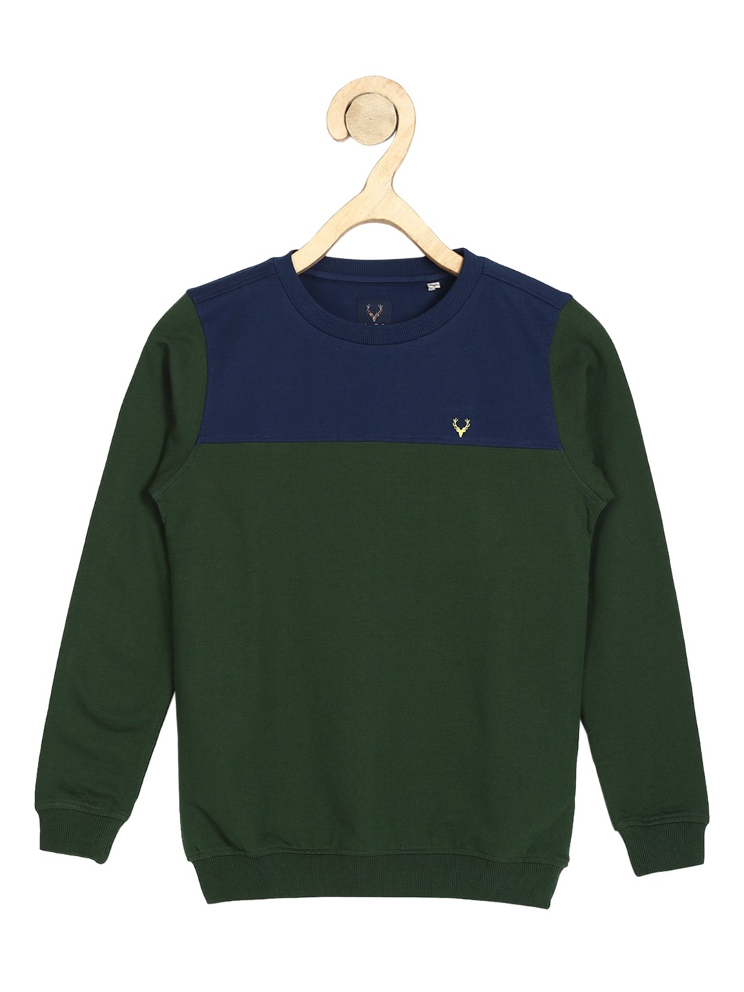 

Allen Solly Junior Boys Green Sweatshirt