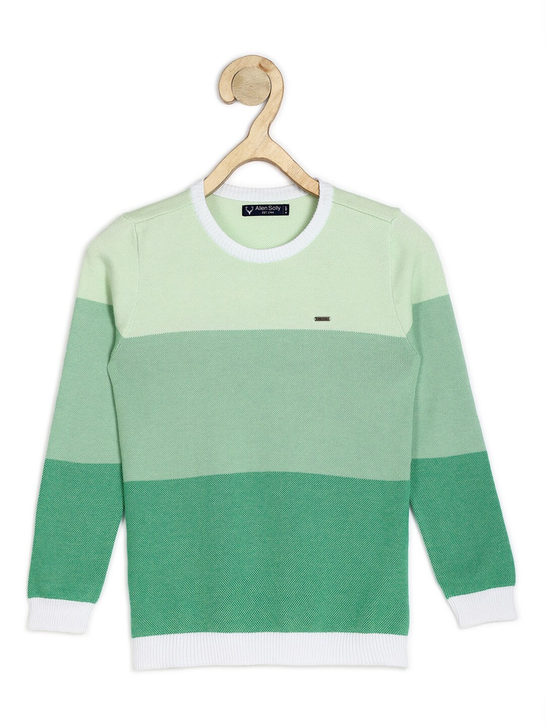 

Allen Solly Junior Boys Green Colourblocked Pullover