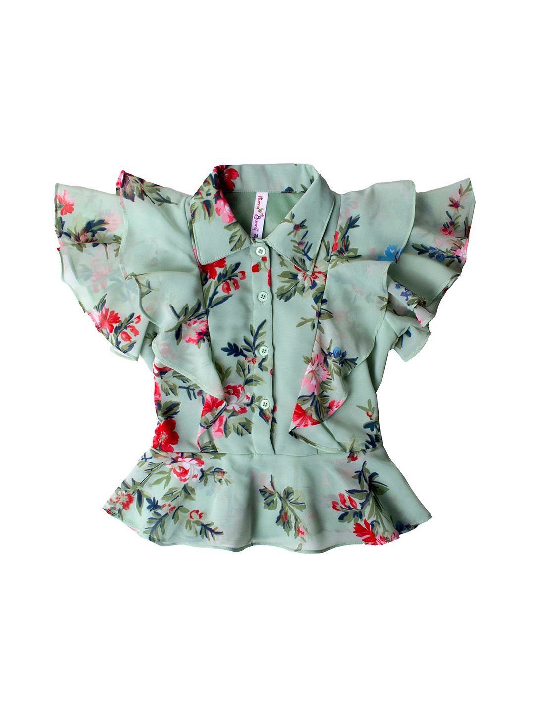 

Hunny Bunny Girls Green & Red Floral Printed Georgette Shirt Style Top