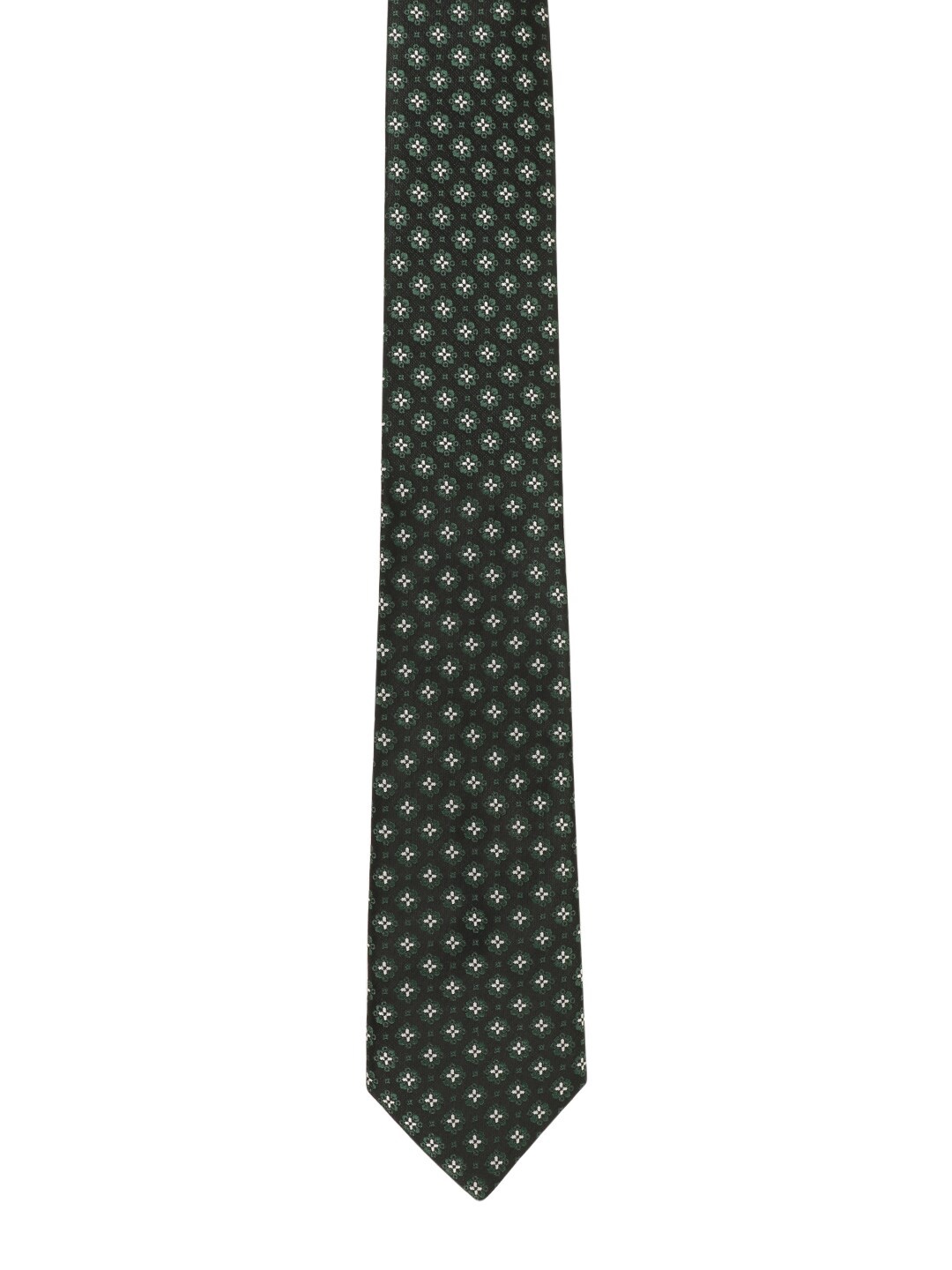 

Alvaro Castagnino Men Green & White Printed Broad Tie
