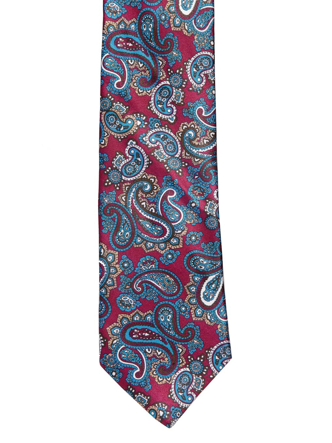 

Alvaro Castagnino Men Blue & Maroon Printed Broad Tie
