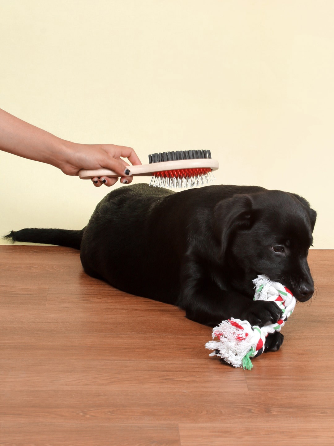 

WIGGLE TWIDDLE Brown & Red Solid Pet Brush