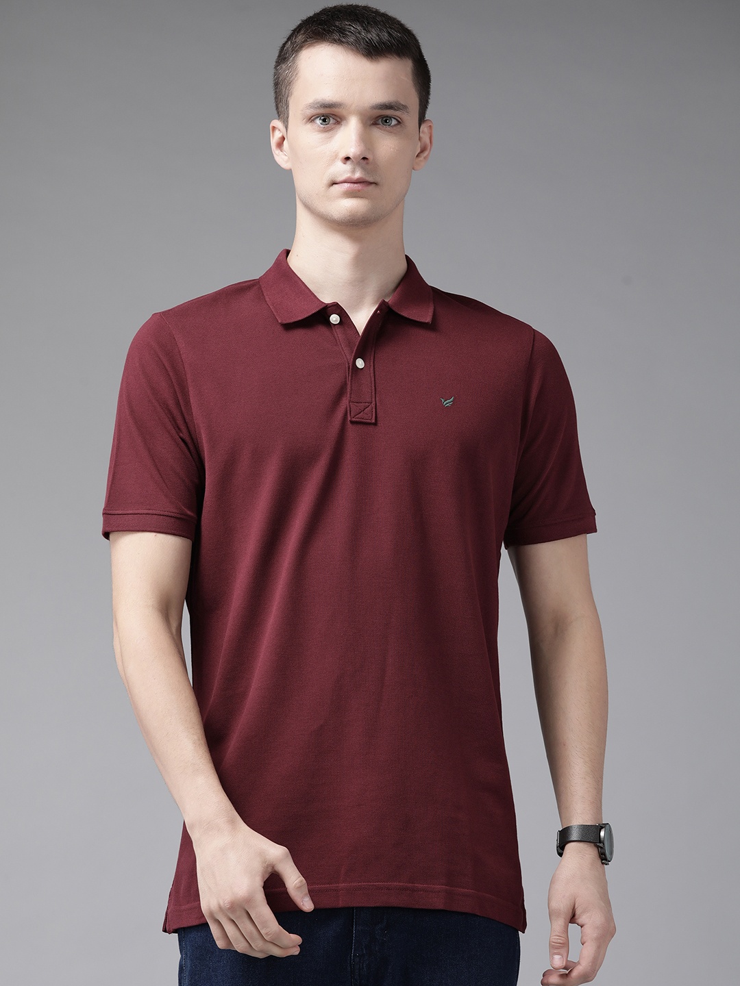 

Blackberrys Men Maroon Solid Cotton Polo Collar T-shirt