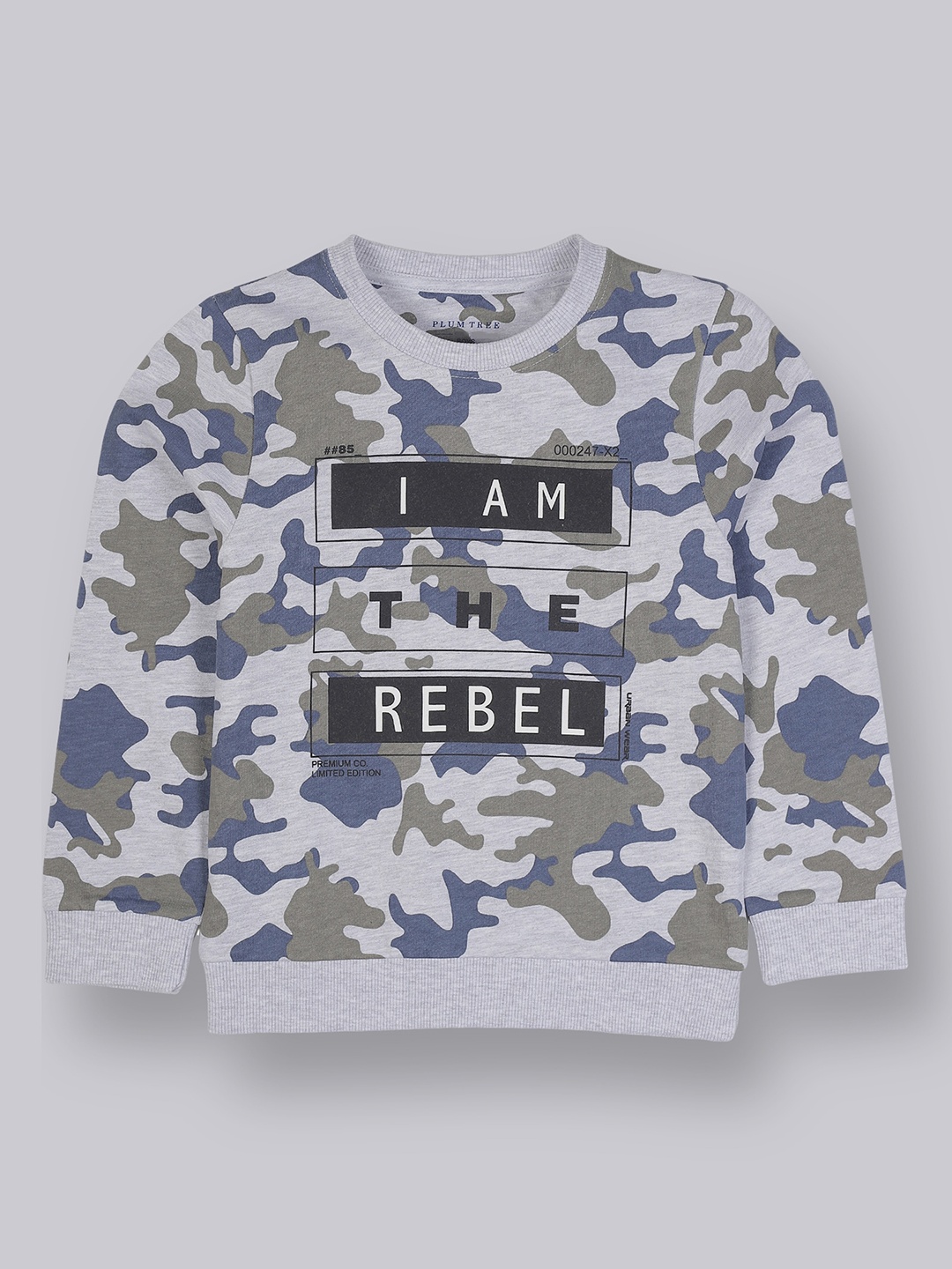 

PLUM TREE Boys Grey Melange Printed Sweatshirt