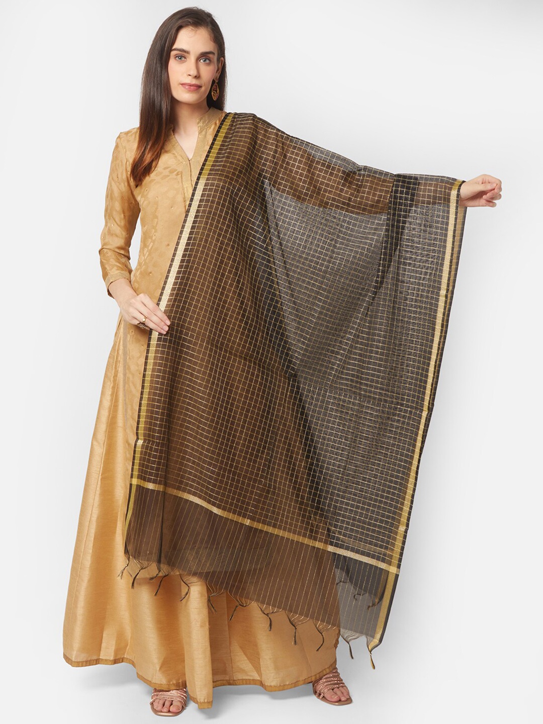 

Dupatta Bazaar Black & Gold-Toned Checked Dupatta