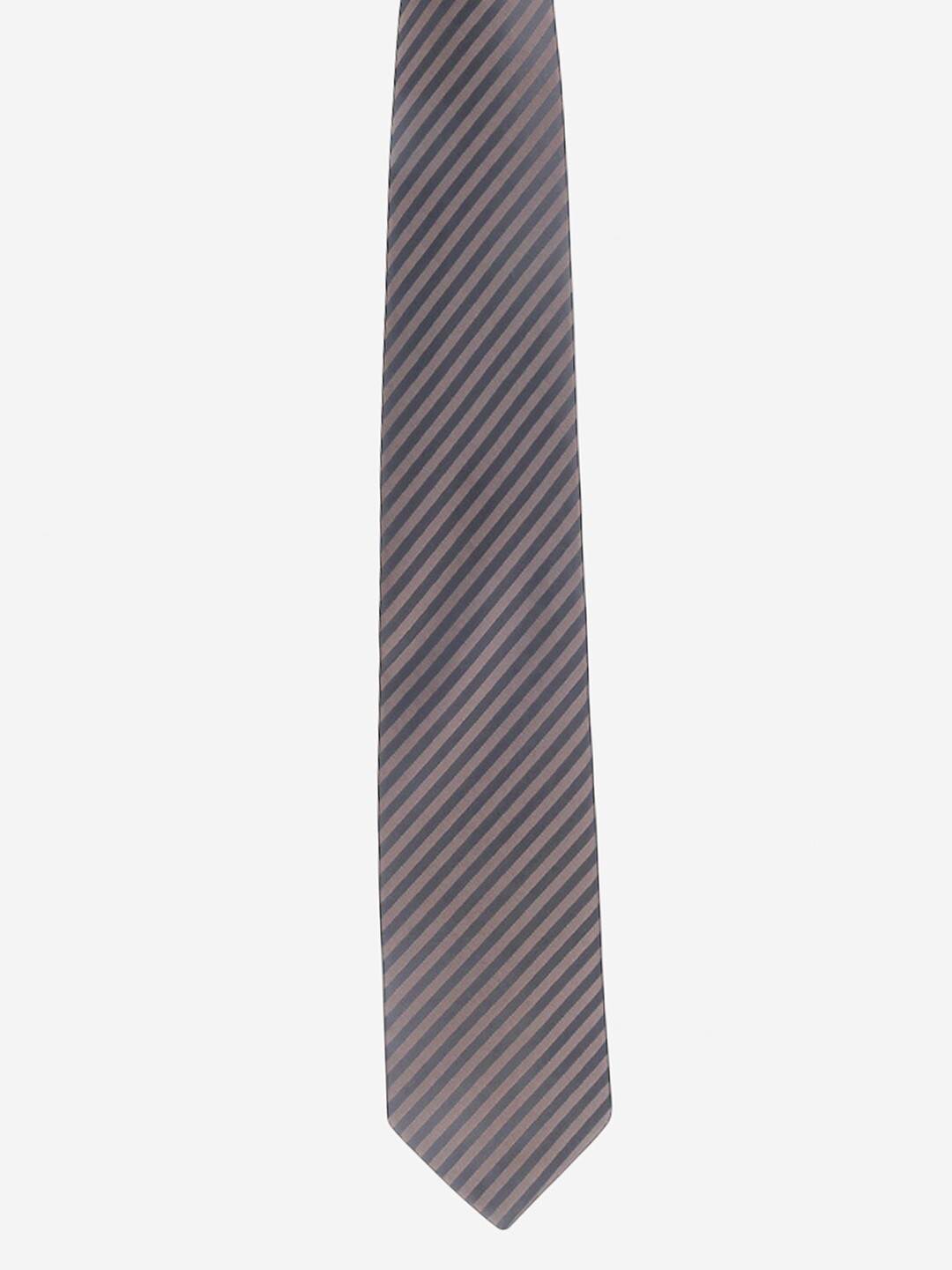 

Alvaro Castagnino Men Brown Striped
